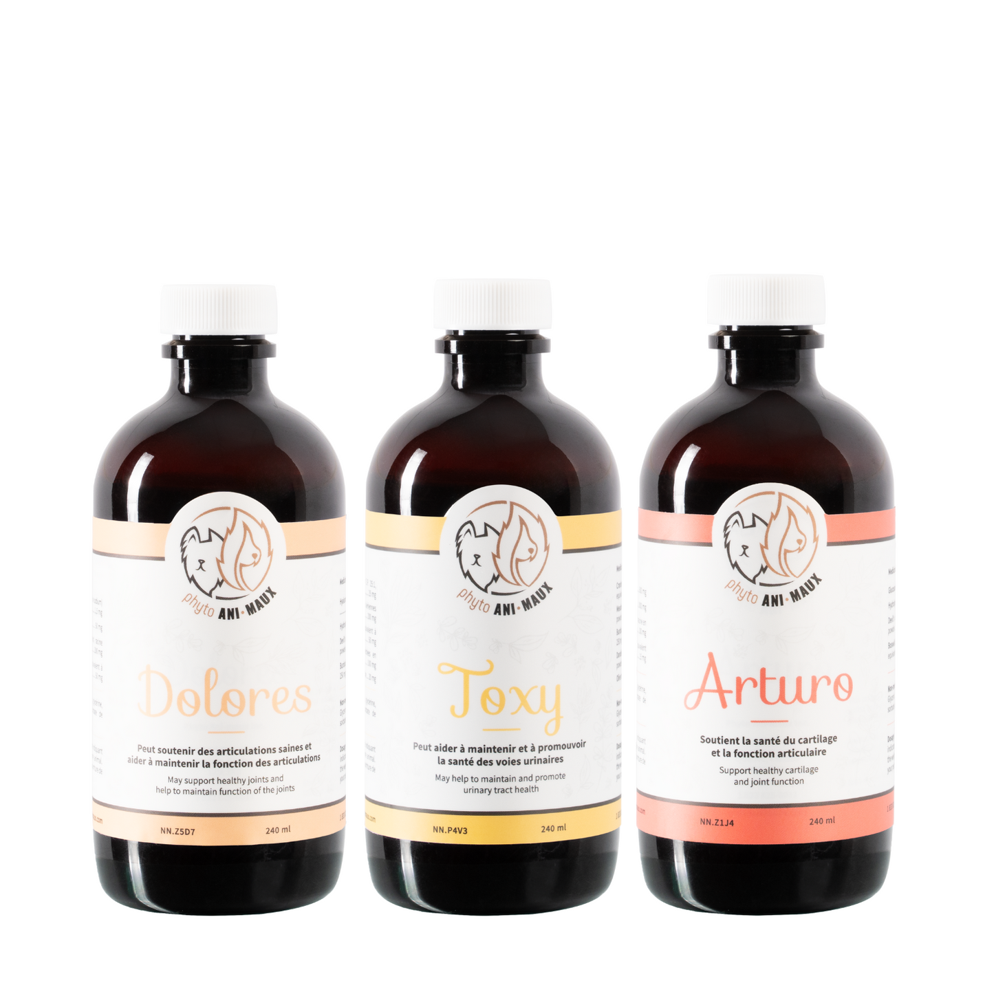 TRIO ARTICULATIONS pour chiens et chats : DOLORES, TOXY, ARTURO