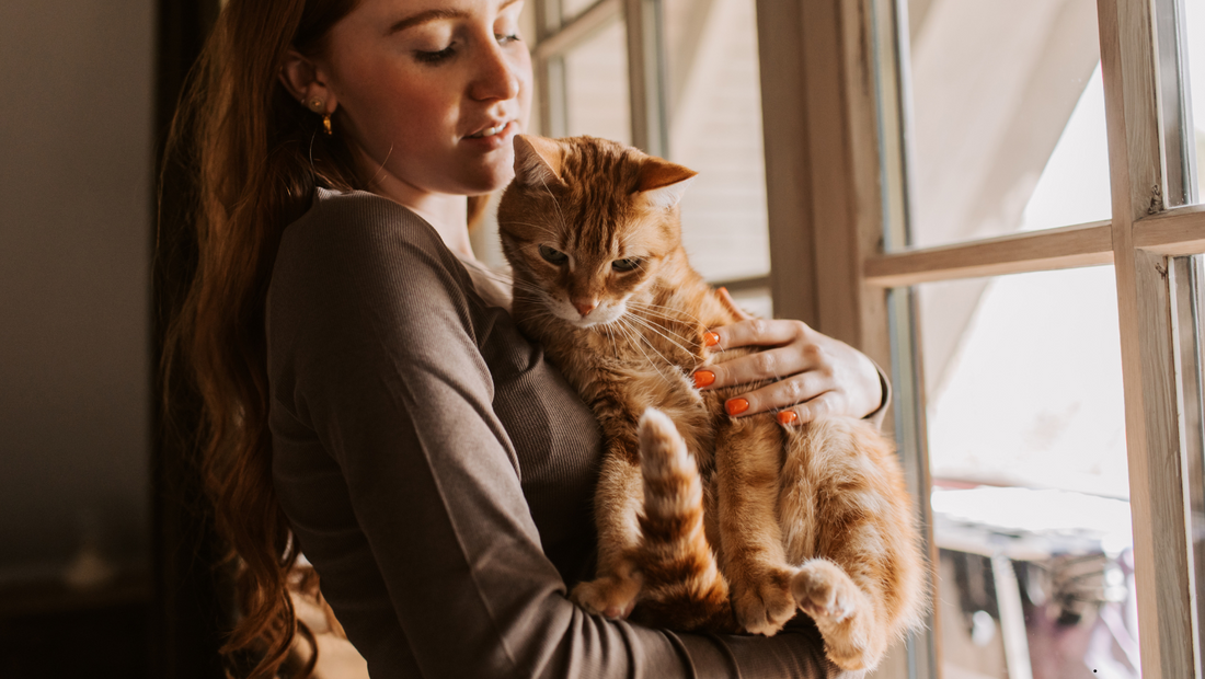 Stress, anxiété et nervosité chez les animaux : les reconnaître et les soulager naturellement